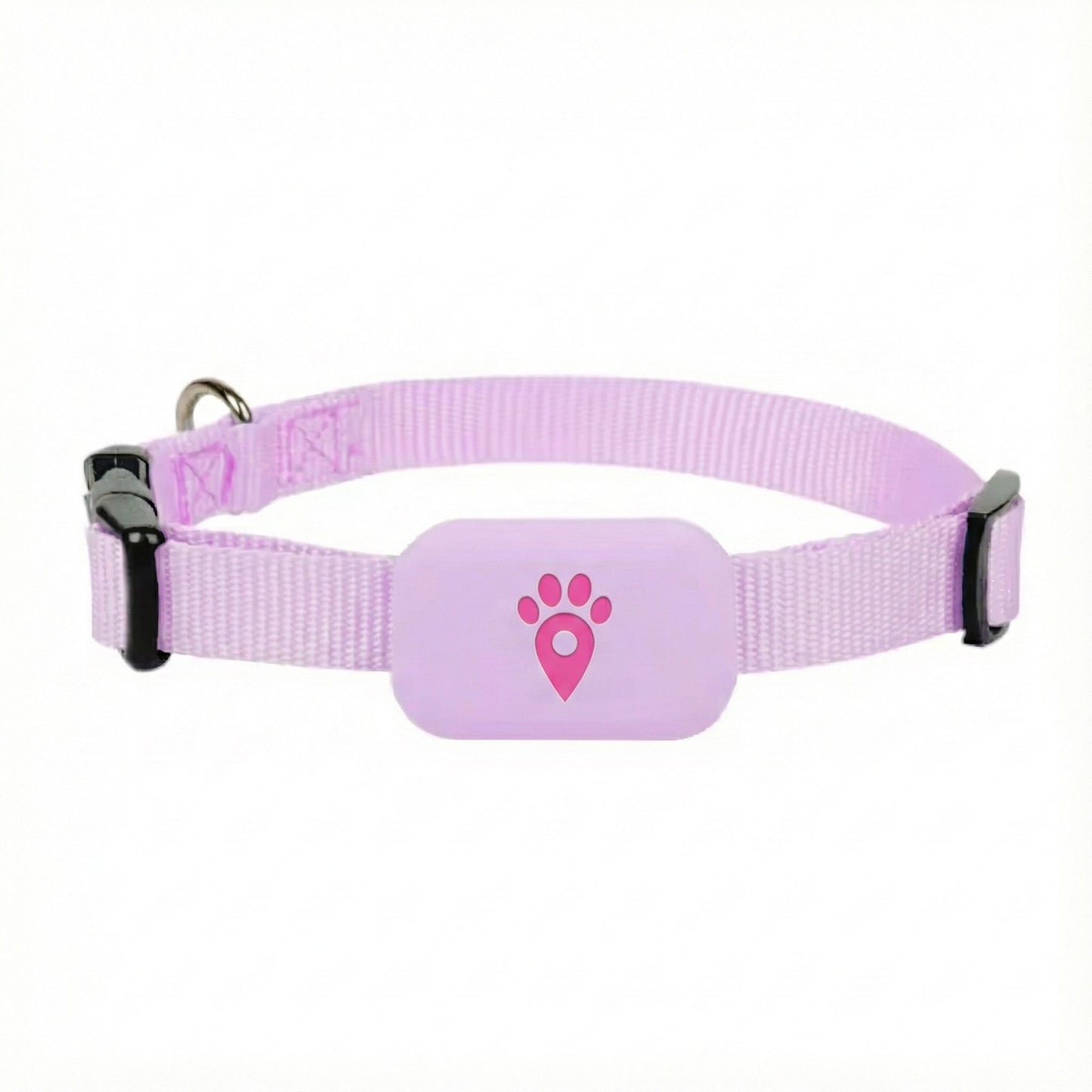 Collar GPS para perros con localización en tiempo real