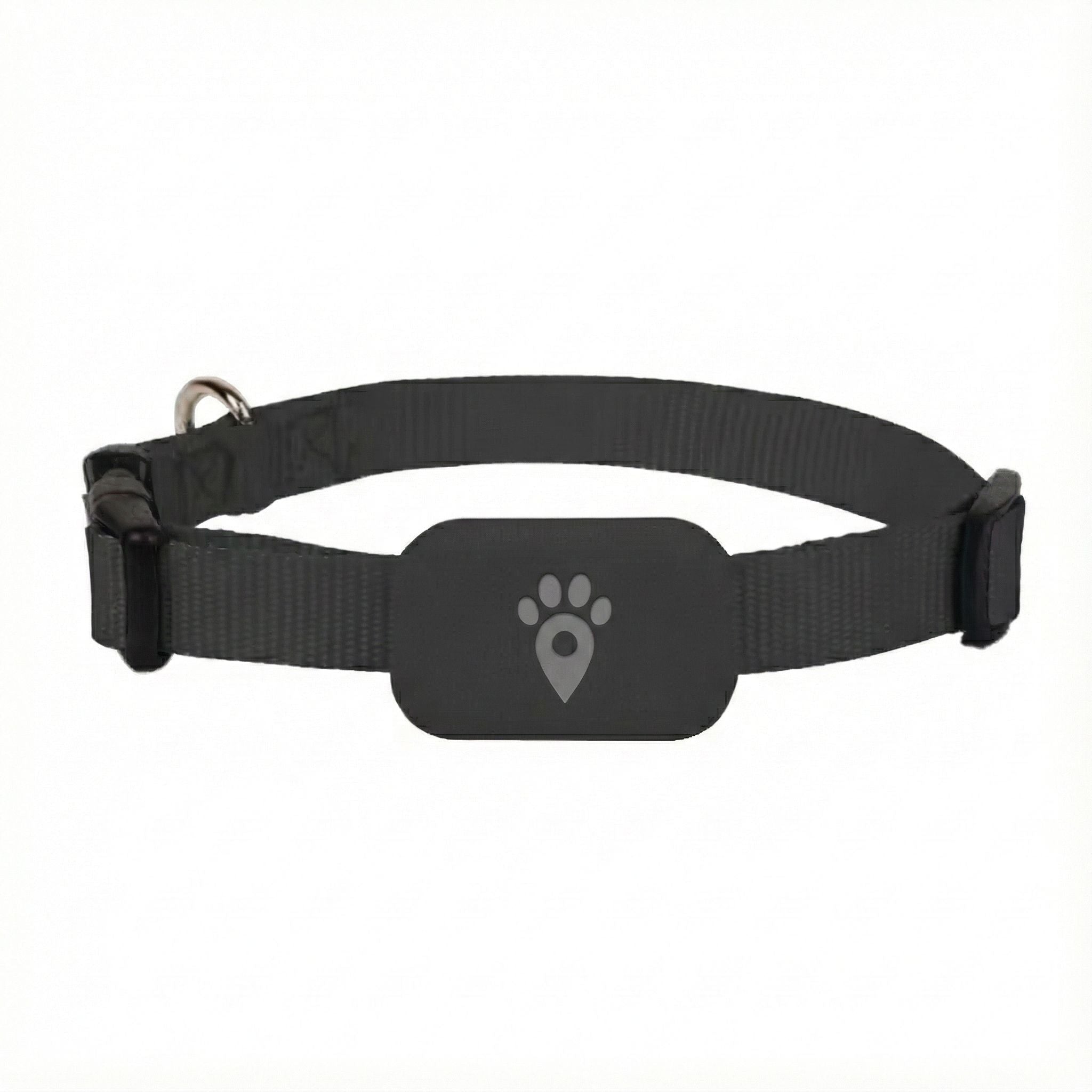 Collar GPS para perros con localización en tiempo real