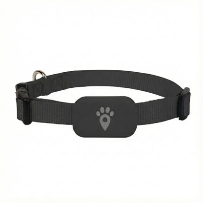 Collar GPS para perros con localización en tiempo real