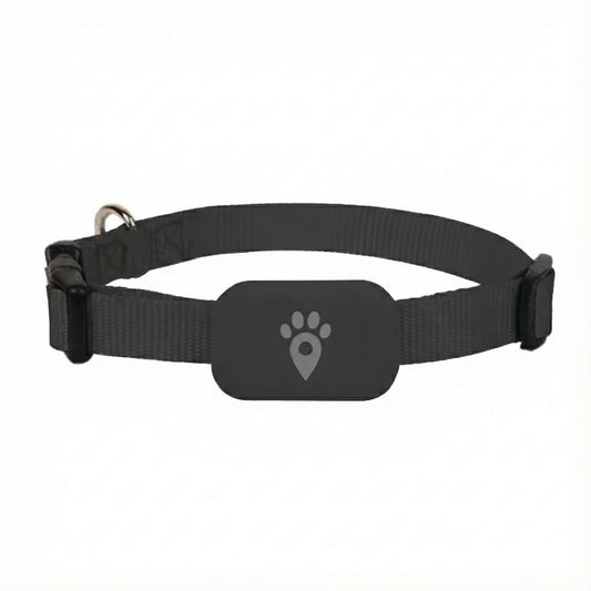 Collar GPS para perros con localización en tiempo real